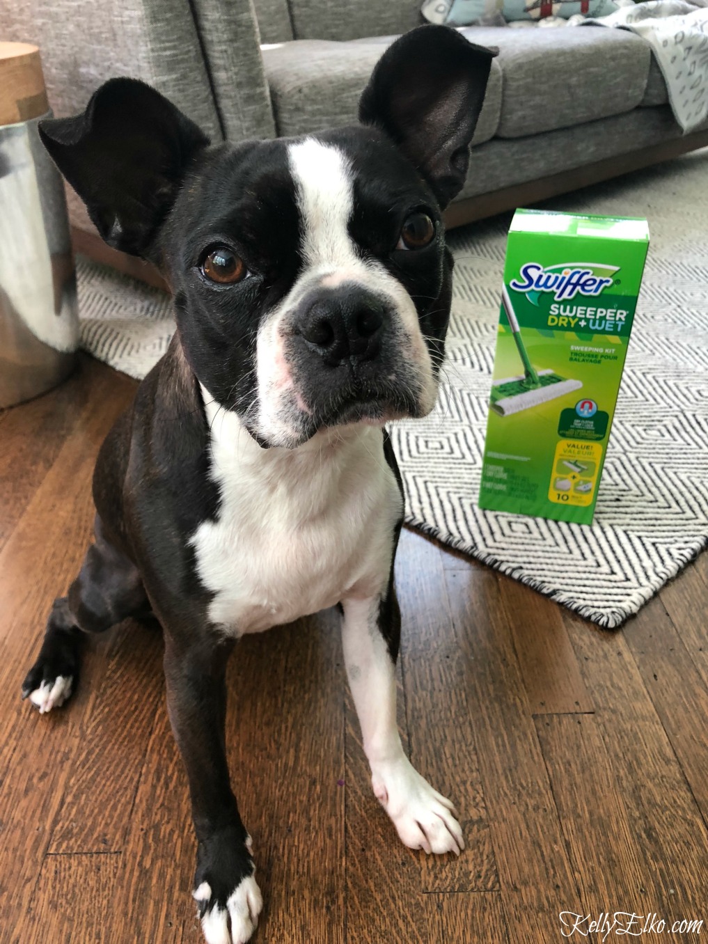 How to have a clean house with pets! kellyelko.com #ad swiffer #cleaningtips #cleanhouse #cleaning #bostonterrier