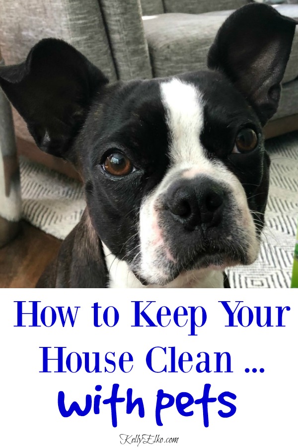 How to have a clean house with pets! Keep your house spotless (and smelling great) with these tips and tricks for keeping a clean house even when you have dogs and cats! kellyelko.com #cleaningtips #cleanhouse #clean 