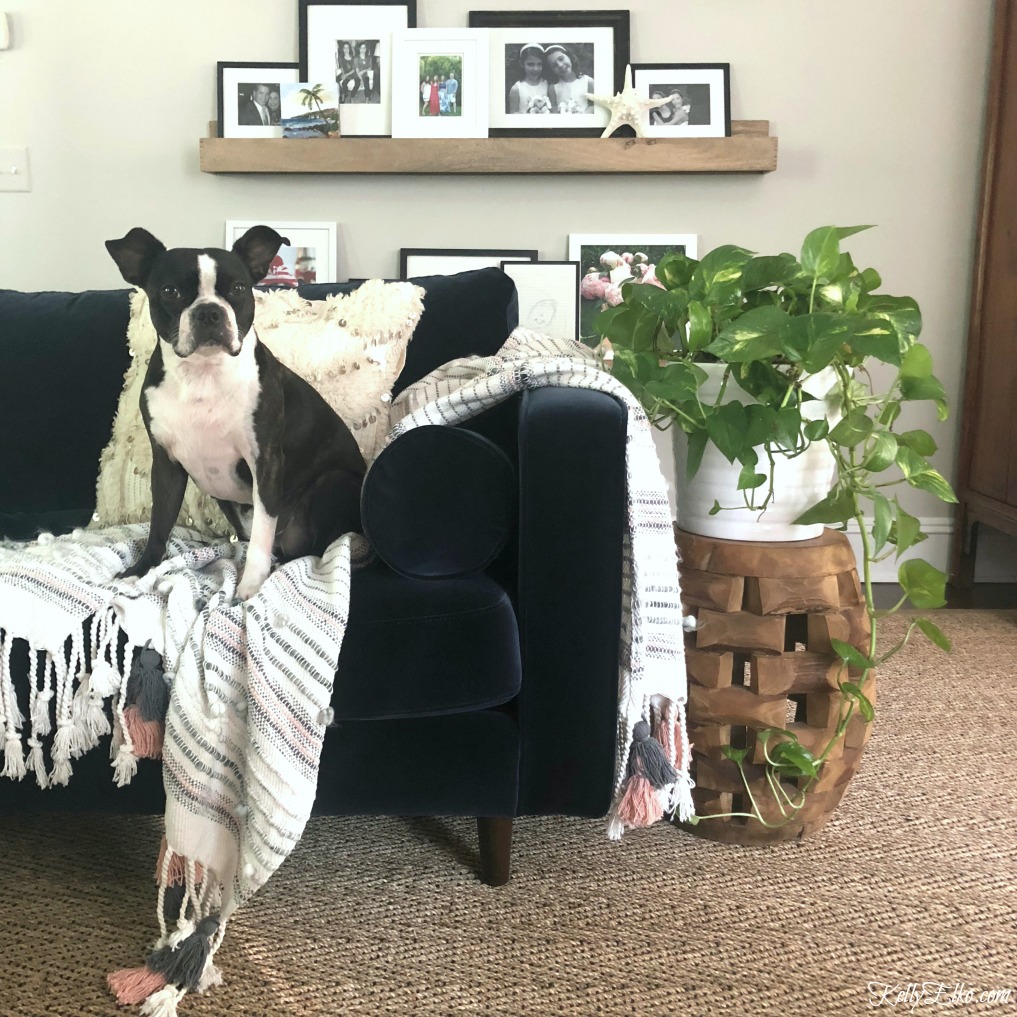 Love this boho living room with blue Sven sofa kellyelko.com #sofa #livingroom #sofas #svensofa 