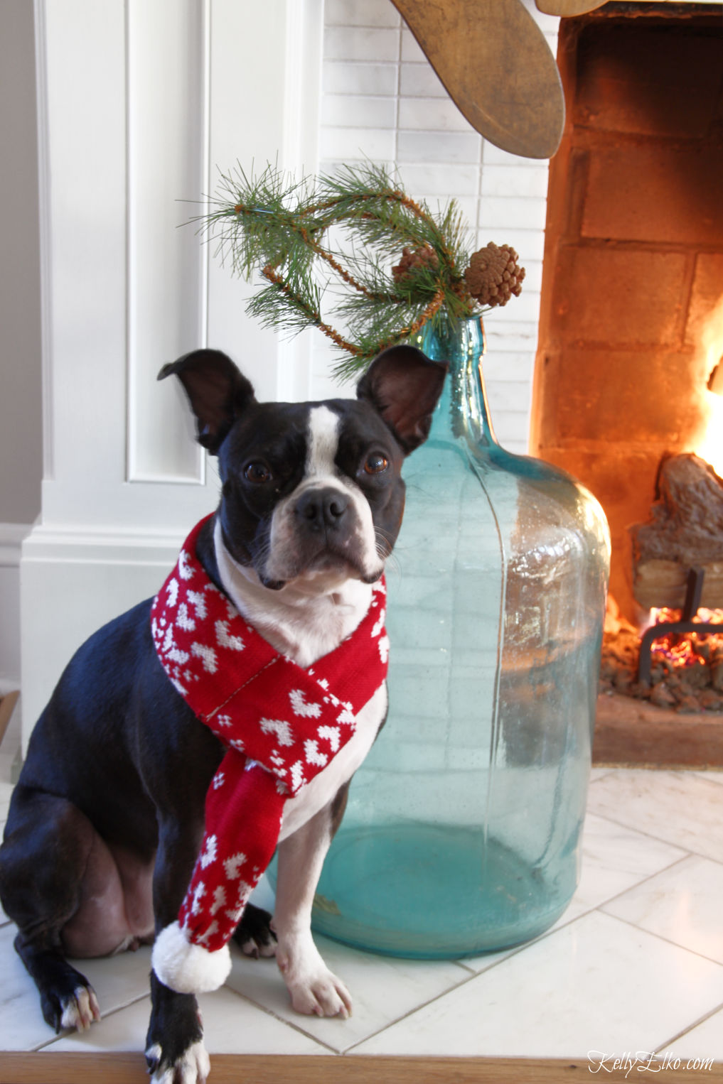 Love this cute Boston Terrier in a winter scarf kellyelko.com #christmasdog #christmasdecor #bostonterrier #vintagechristmas #farmhousechristmas