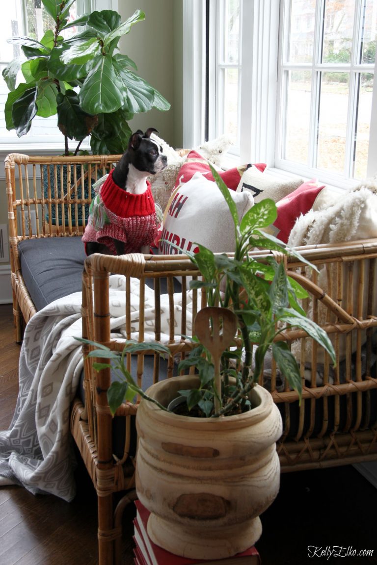Boho Rattan Daybed in a Christmas Sunroom kellyelko.com #boho #bohodecor #interiordecor #interiordecorate #rattan #daybed #sunroom #sunroomdecor #houseplants #christmas #christmasdecor