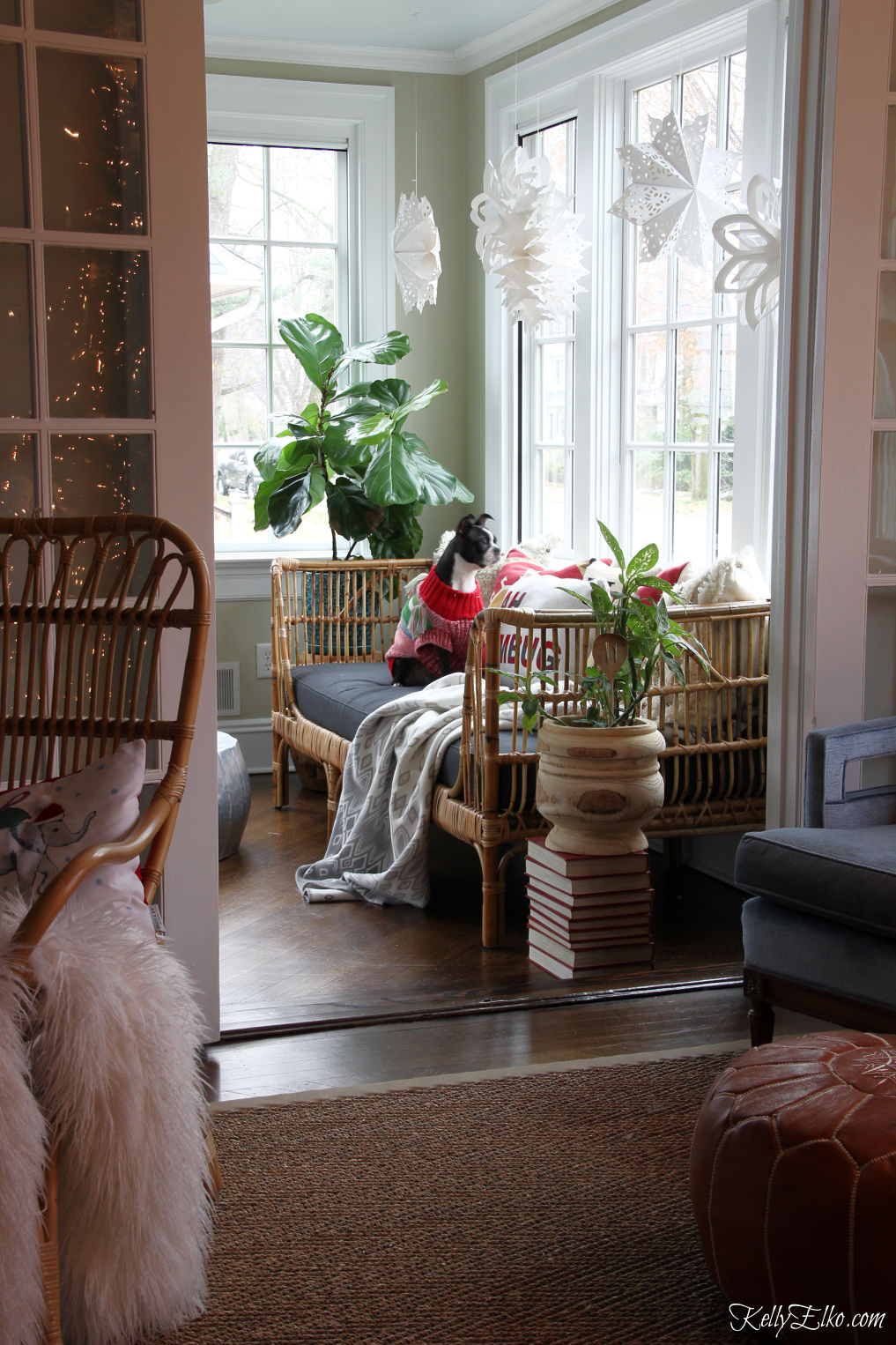 Love this sunroom decked out for Christmas with a boho rattan daybed covered in colorful pillows and cute paper snowflakes in the window kellyelko.com #bohodecor #bohodecorating #rattan #daybeds #sunroom #sunroomdecor #plantlady #houseplants #interiordecorate #interiordecor #christmas #christmasdecor #bostonterrier 