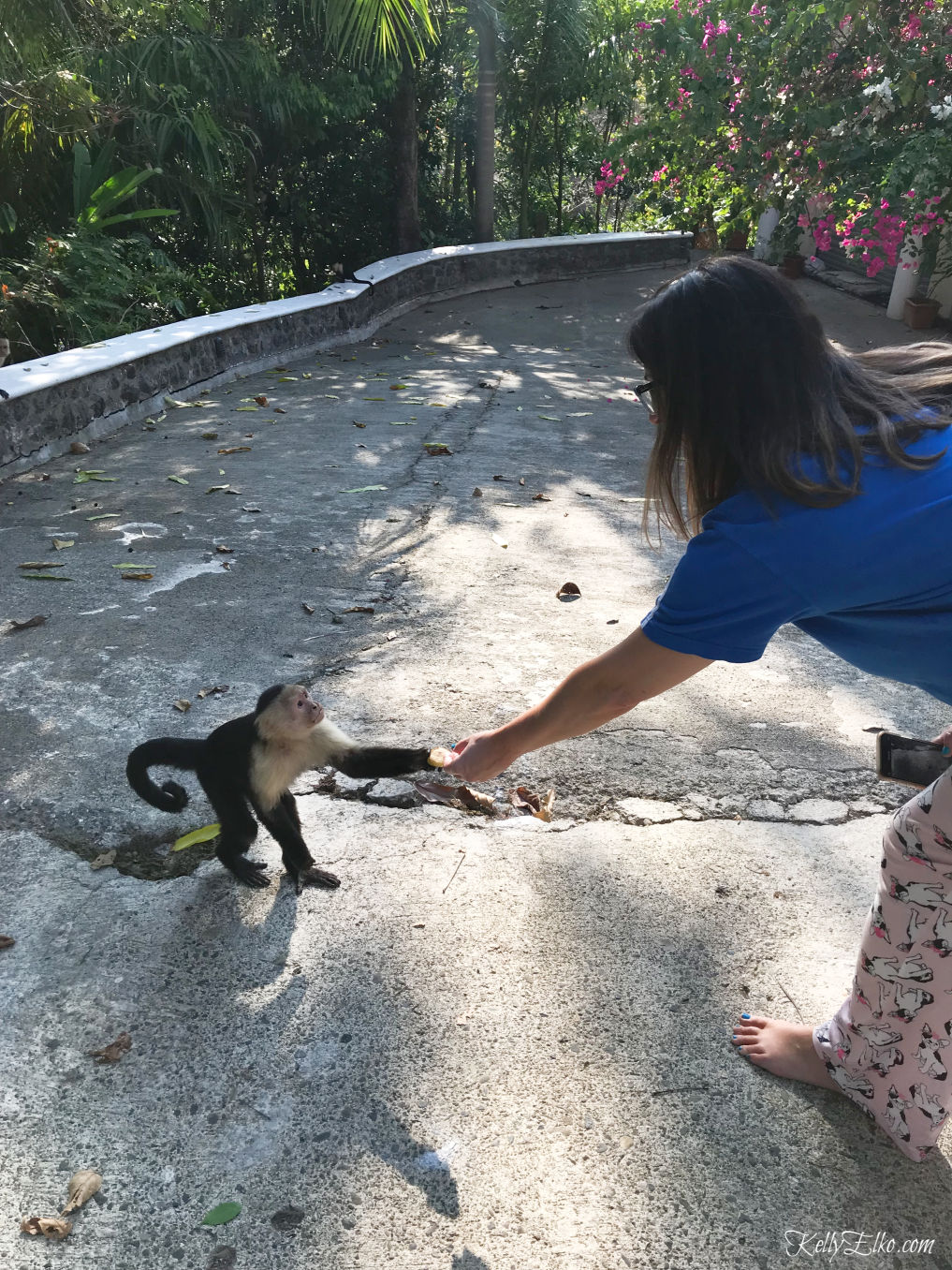 52 Weeks of Yes - hand feed wild monkeys! kellyelko.com #travel #monkeys #costarica #vacation #travelblog #52WeeksofYes