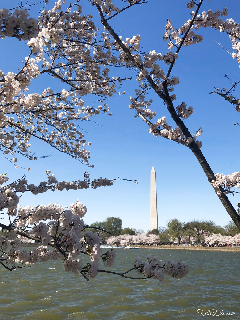 Weekend in Washington DC kellyelko.com #travel #travelblogger #washingtondc #dc #vacation #familytravel #getaway #escape #cherryblossoms 