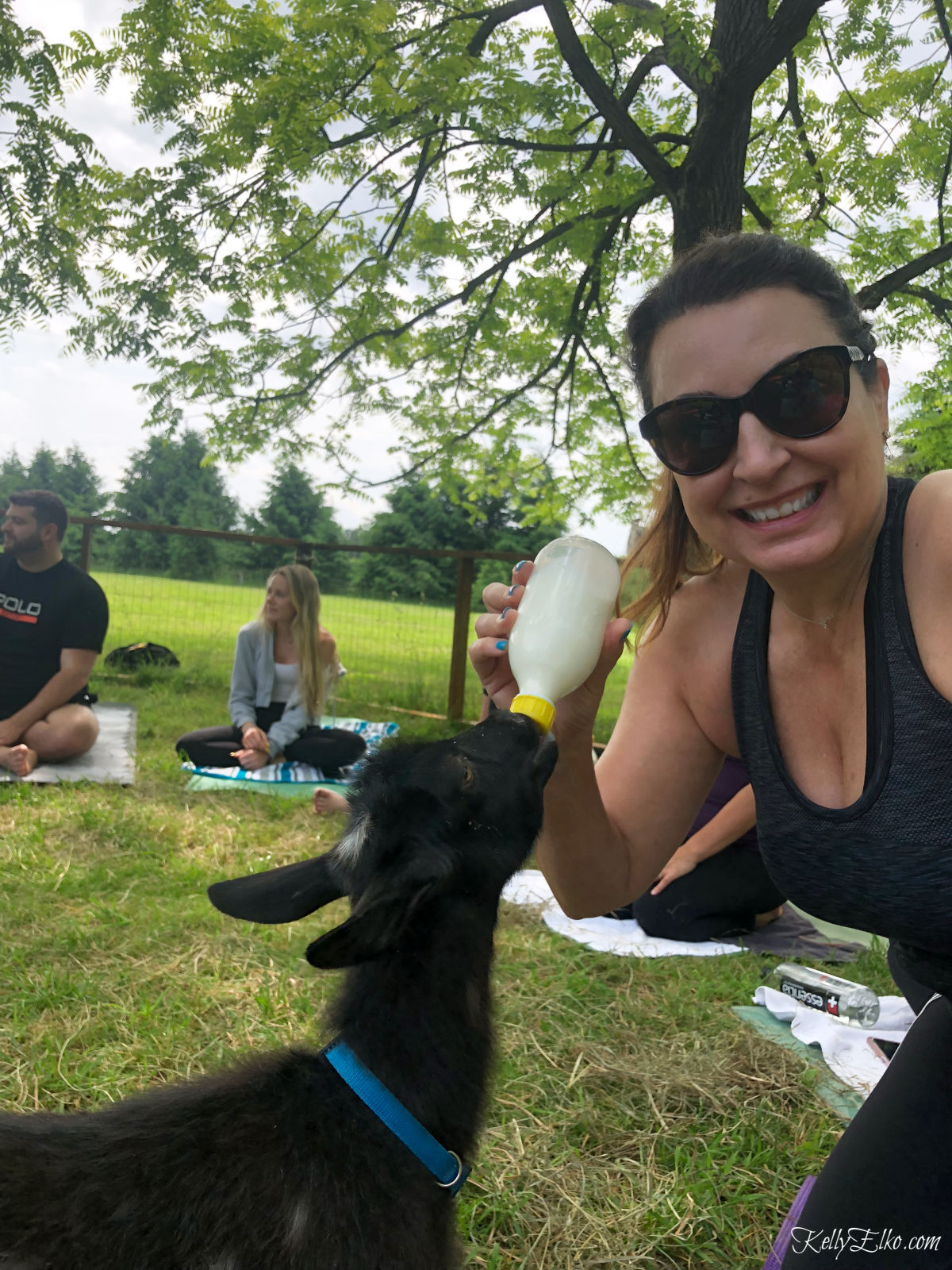 Goat yoga is all the rage and this place even lets you bottle feed the baby goats kellyelko.com #goatyoga #52weeksofyes #yoga 