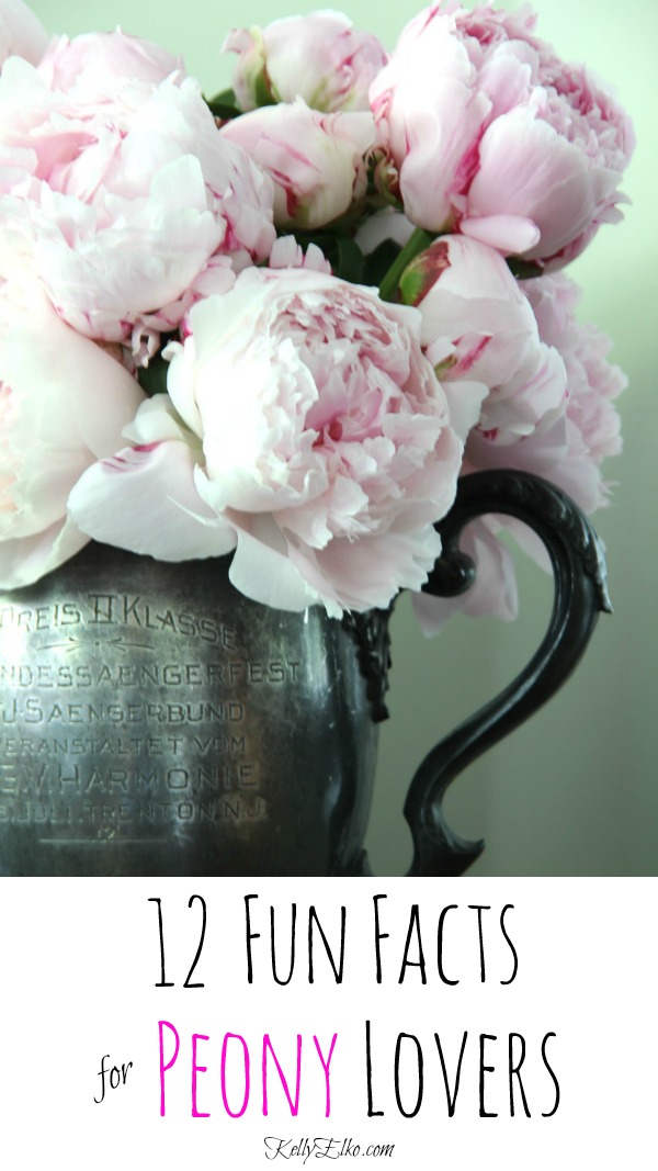 12 Fun Peony Facts that every peony lover needs to know! kellyelko.com #peonies #peony #perennials #flowers #blooms #gardening #gardeners #gardeningtips