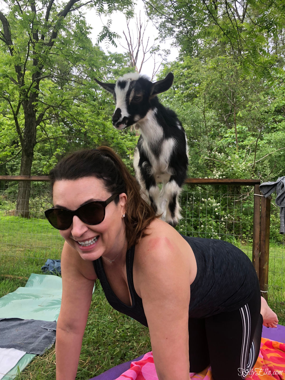 Have you tried goat yoga? Learn all about it kellyelko.com #52weeksofyes #goatyoga #selfcare #yoga 