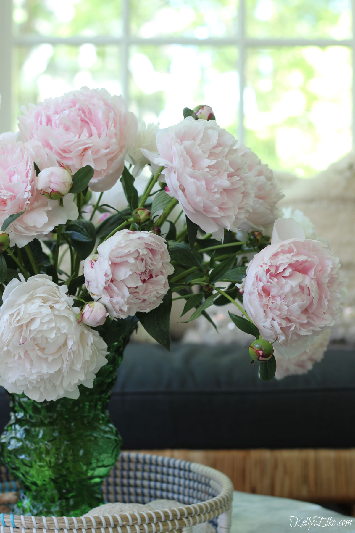 Pink peonies - so many great tips for planting, growing, cutting kellyelko.com #peonies #peony #perennials #gardener #gardeningtips 