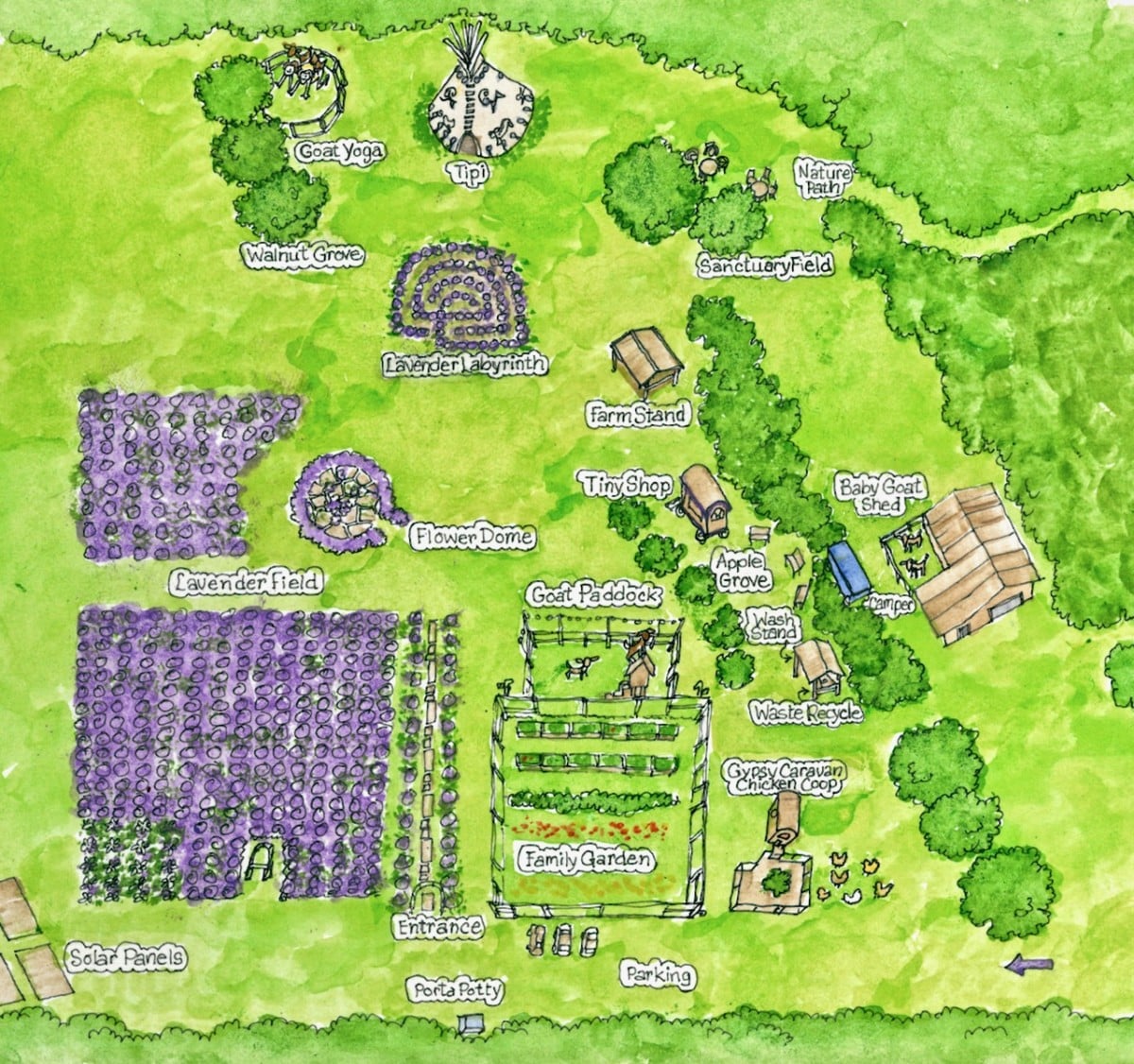 Mad Lavender Farm - a fun place to buy all things lavender and do goat yoga! kellyelko.com #52weeksofyes #goatyoga #lavender 