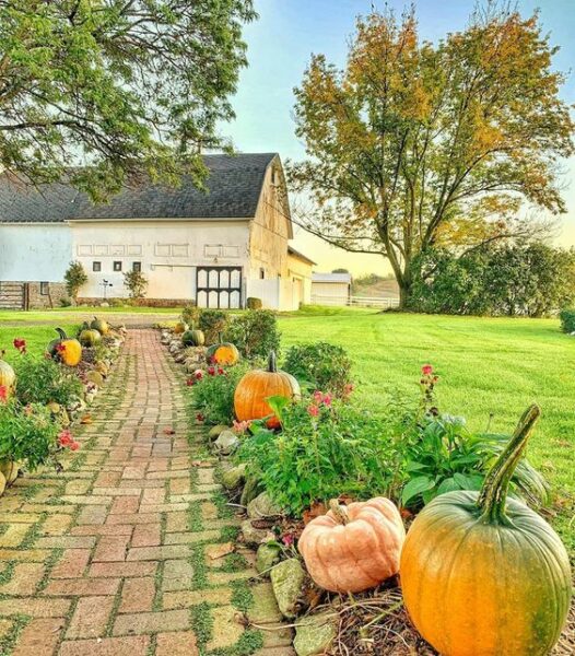 Fall on the farm kellyelko.com #farm #barn #farmhouse #fall #pumpkins 