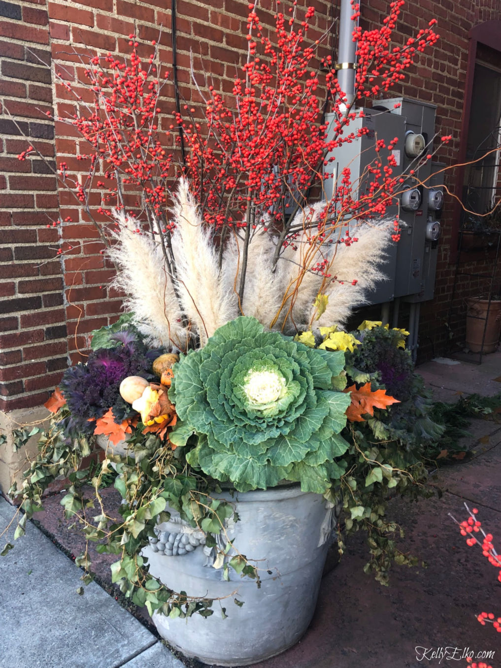 Beautiful Winter Planter of pampas grass, winter red berries, purple and green kale and trailing ivy kellyelko.com #planters #christmasplanter #winterplanter #fallplanter #gardening #gardeners #containergardens #containergardening #wintergardens #fallgardens #pampasgrass #kellyelko