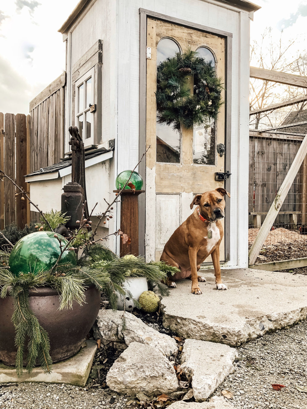 Love this chicken coop made with old doors and windows #chickencoop #vintagedecor #chickens #farmhouse #farmhousedecor 