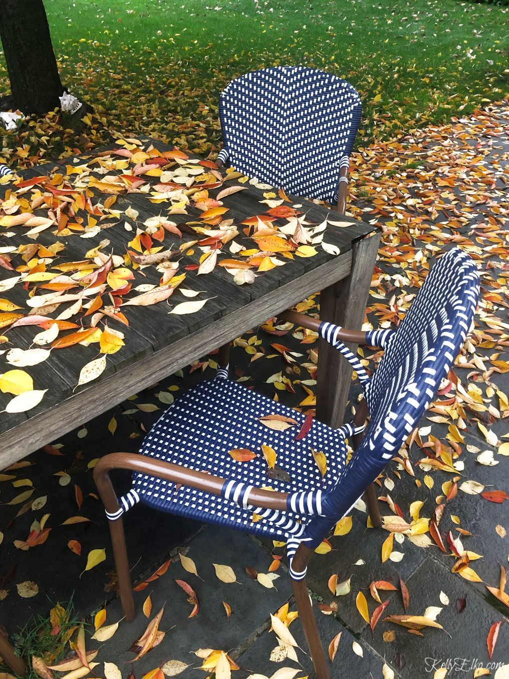 Beautiful fall foliage on the patio kellyelko.com #fall #fallfoliage #fallleaves #patiodecor #fallpatio 