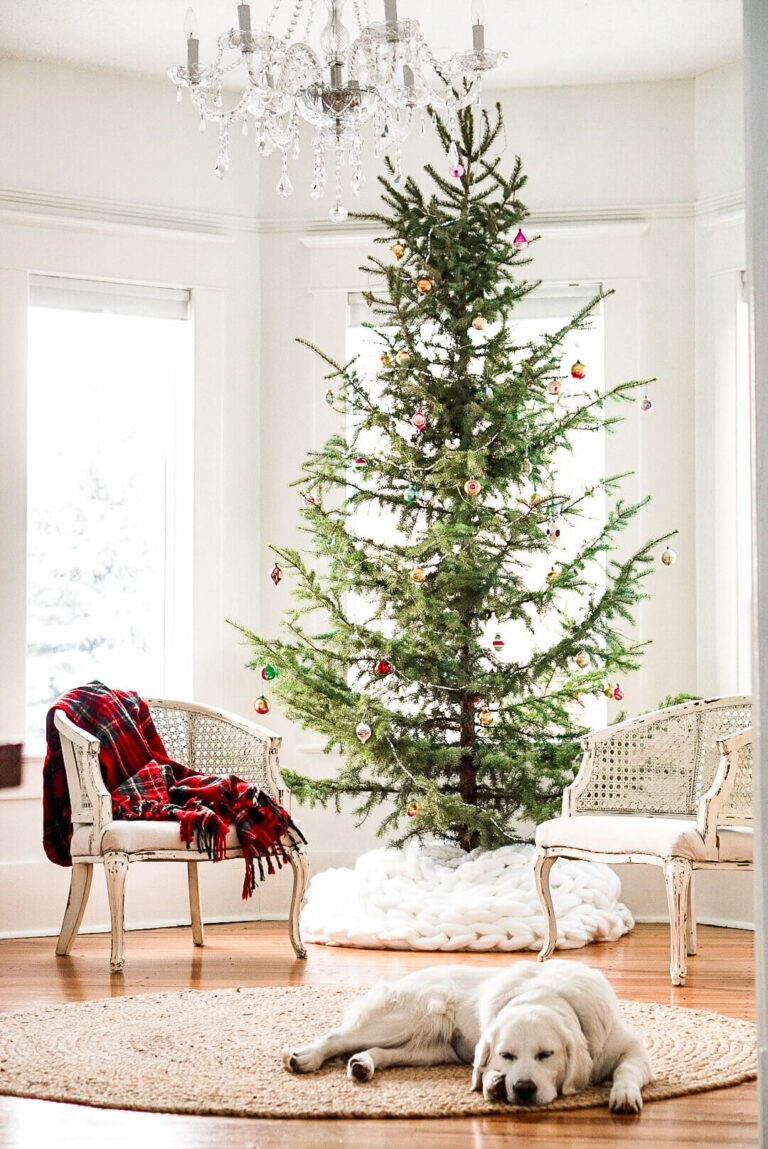 Favorite Sparse Christmas Trees