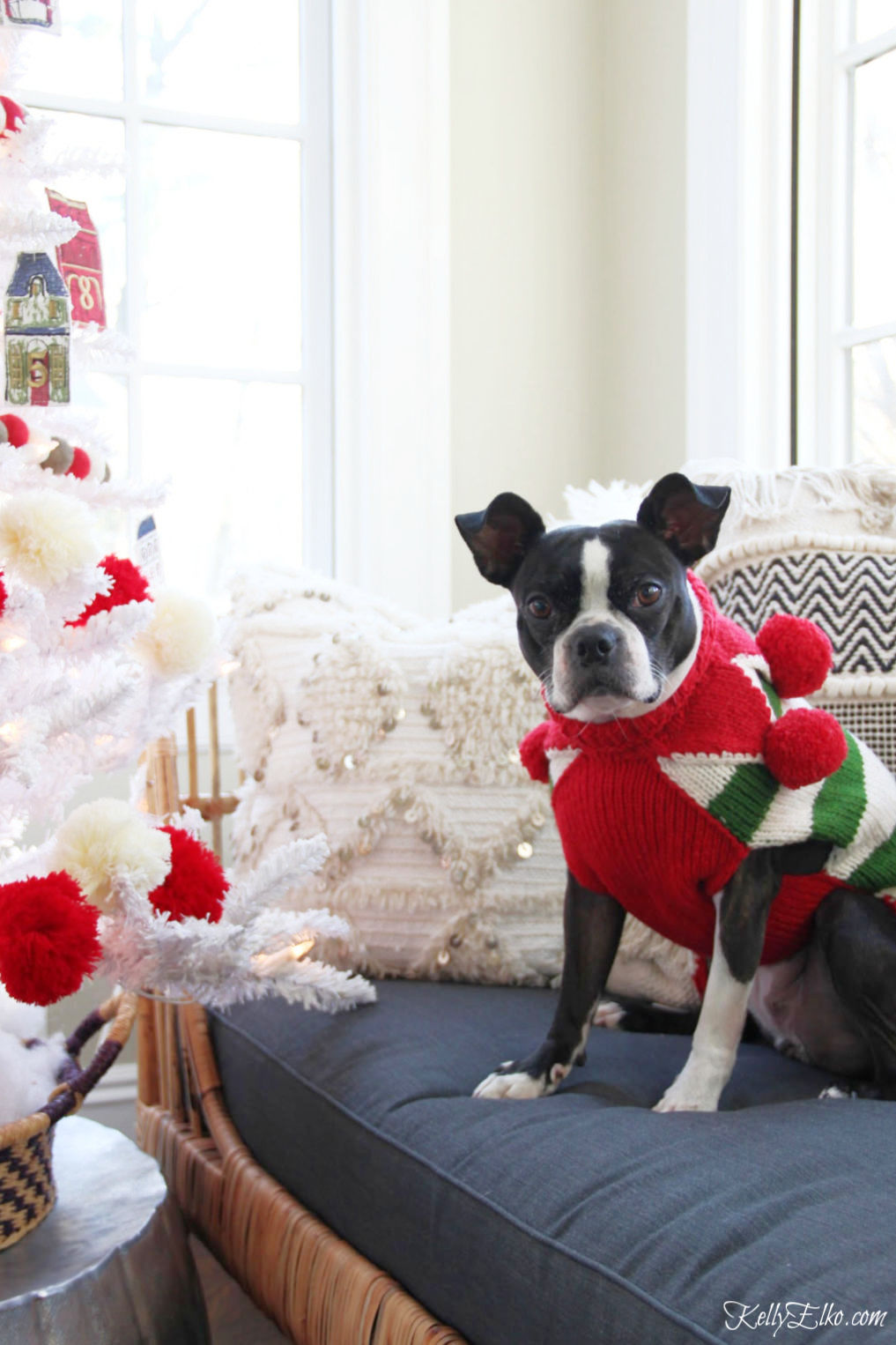 Creative Christmas Tour - how adorable is her Boston Terrier dressed in a red and green pom pom sweater kellyelko.com #christmas #christmasdecor #christmasdecorating #christmashome #christmastour #diychristmas #christmasideas #christmasmantel #christmastree #christmasornaments #vintagechristmas #farmhousechristmas #colorfulchristmas #creativechristmas #kellyelko #bostonterrier #pompoms #cutedogs #frenchbulldog #dogclothes 