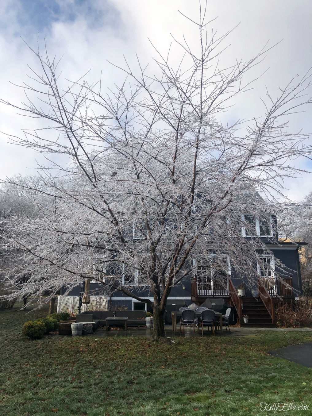 This ice covered tree is gorgeous! kellyelko.com #ice #icestorm #winter #winterwonderland #kellyelko