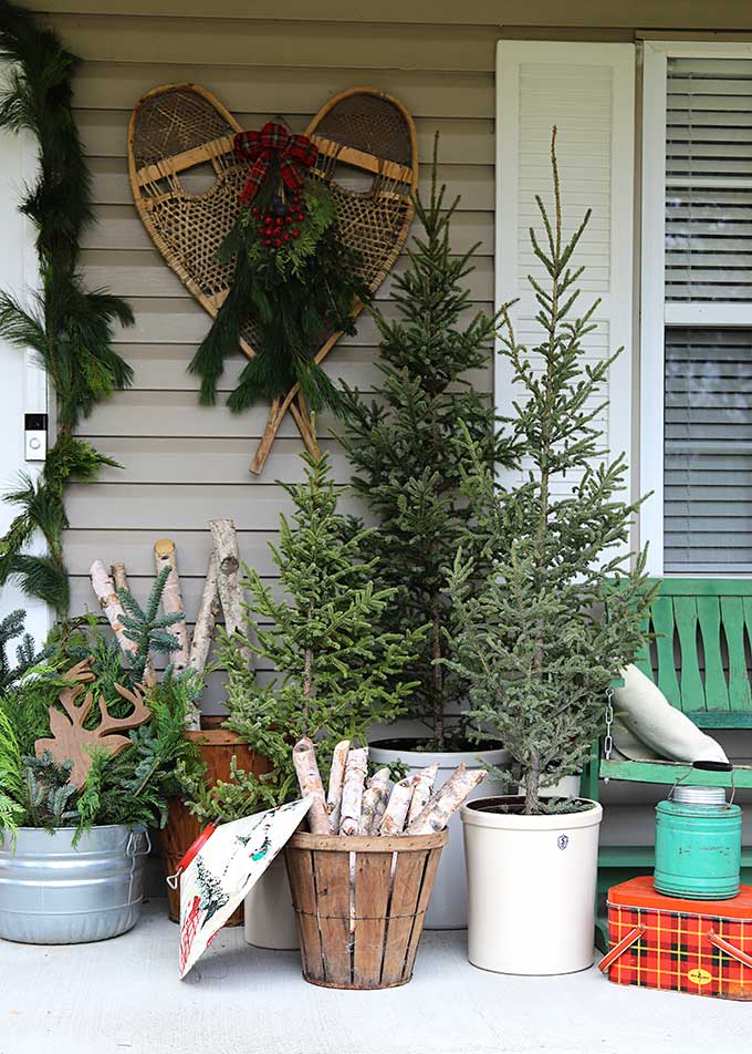 Beautiful winter porch with old snow shoes and Christmas trees #porch #winterporch #christmsporch #vintagechristmas #porchdecor #christmastrees #vintagedecor 