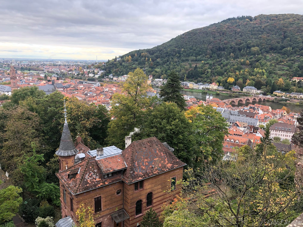 Heidelberg Germany view from the castle kellyelko.com #heidelberg #heidelbergcastle #germany #luxurytravel #travelblogger #travelblog #nekarriver #europeantravel #europe #castles 