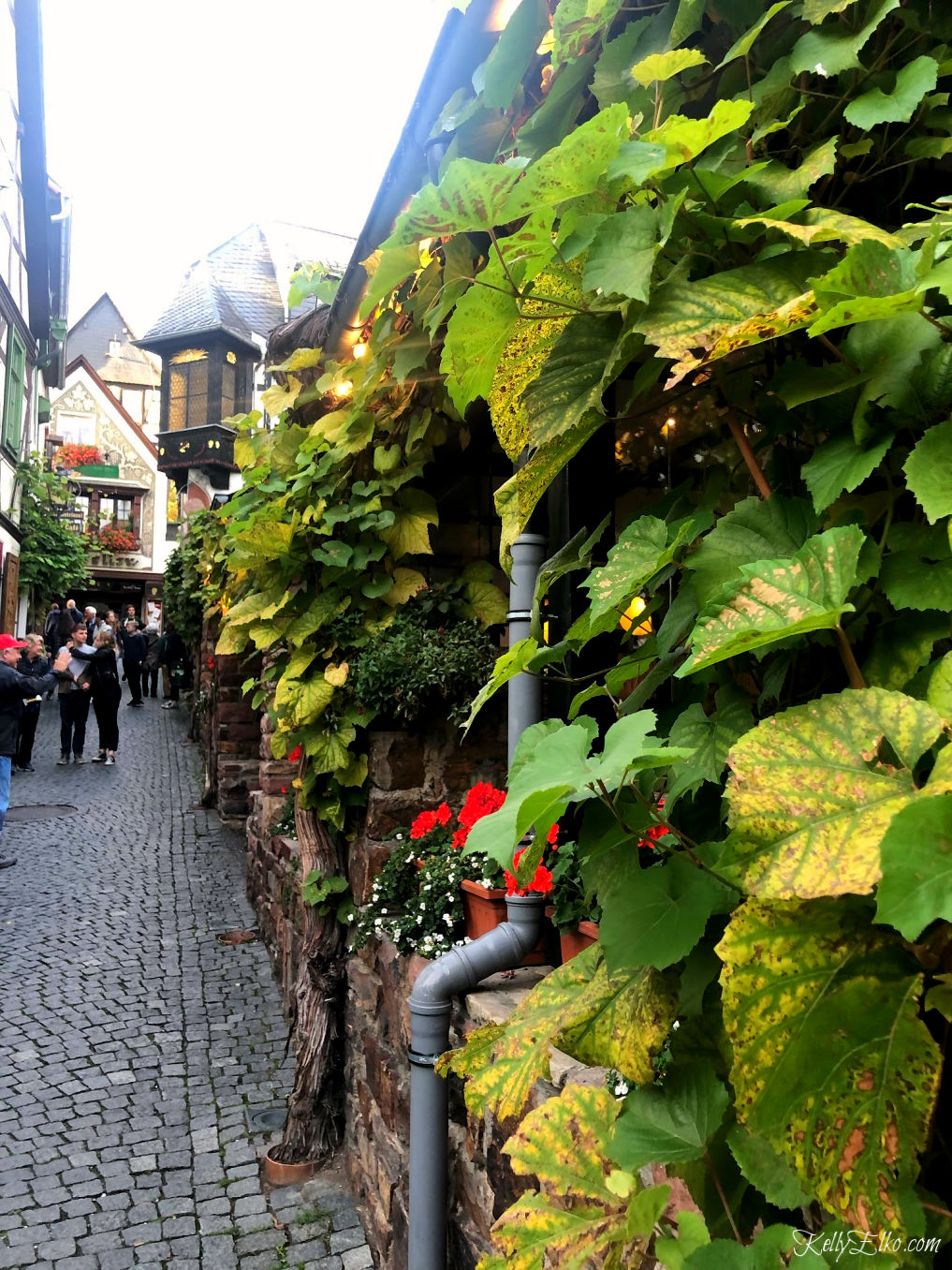 The charming Rhine river village of Rudesheim Germany has beautiful vine covered buildings kellyelko.com #Rudesheim #germany #rivercruise #rhineriver #travel #travelblog #travelblogger #vacation #europe #europevacation 