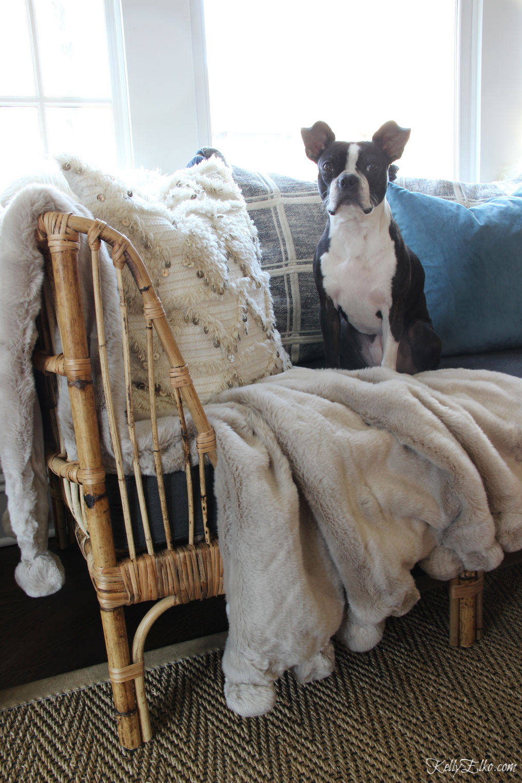 Love this cozy rattan daybed with pom pom throw and cute Boston Terrier kellyelko.com #rattanfurniture #daybed #cozydecor #bluedecor #serenaandlily #ourarticle #pompom #bostonterrier #kellyelko