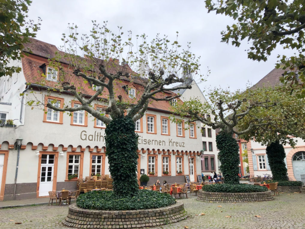 Explore the charming town of Heidelberg Germany kellyelko.com #heidelberg #germany #europe #travel #luxurytravel #explore #vacation #europe #travelblog #travelblogger