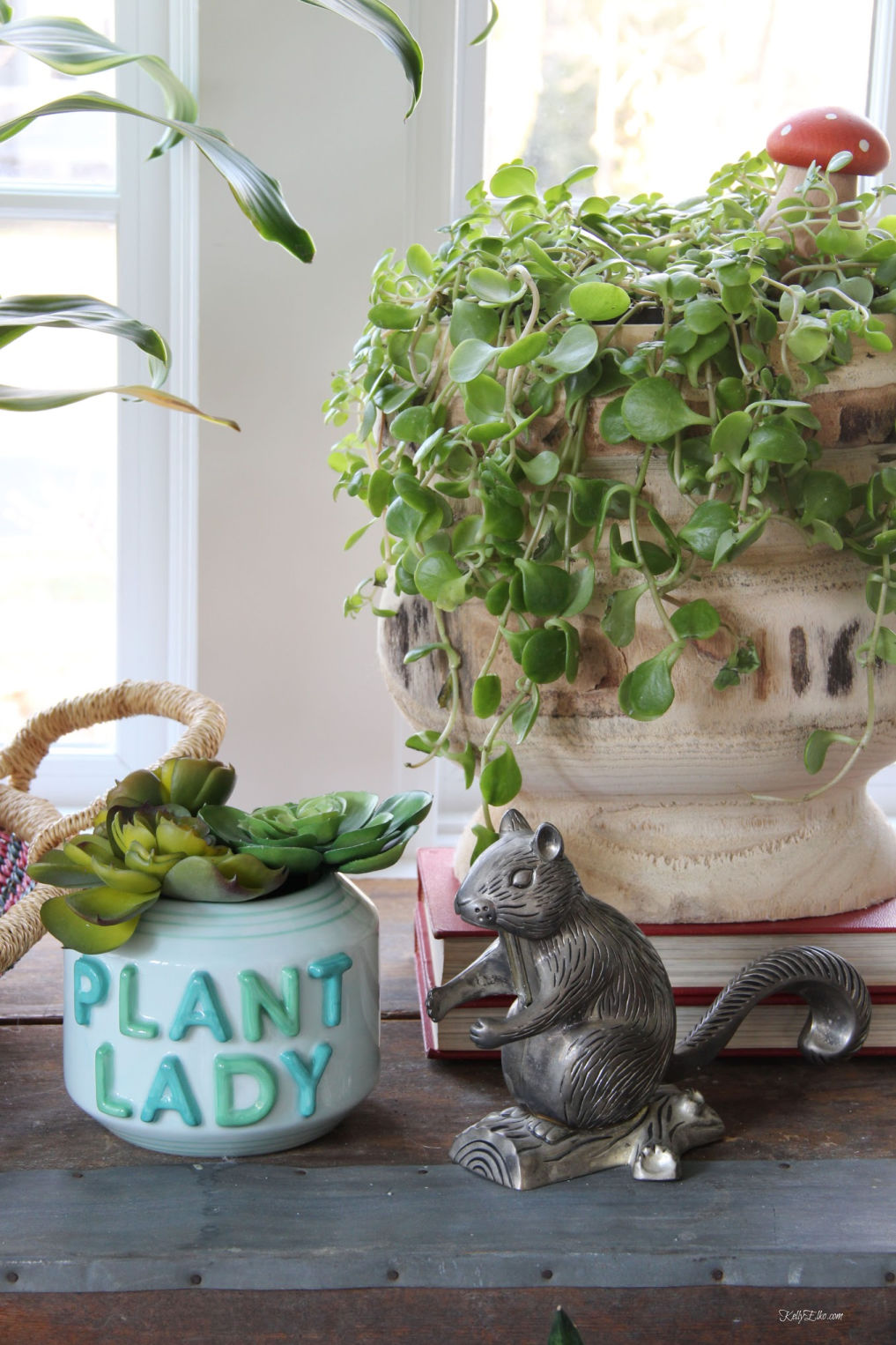 Calling all plant ladys! kellyelko.com #plants #houseplants #sunroom #jungalow #jungalowstyle #bohostyle #bohodecor #interiordesign #planters #vintagedecor #plantlady #eclecticdecor #kellyelko #succulents