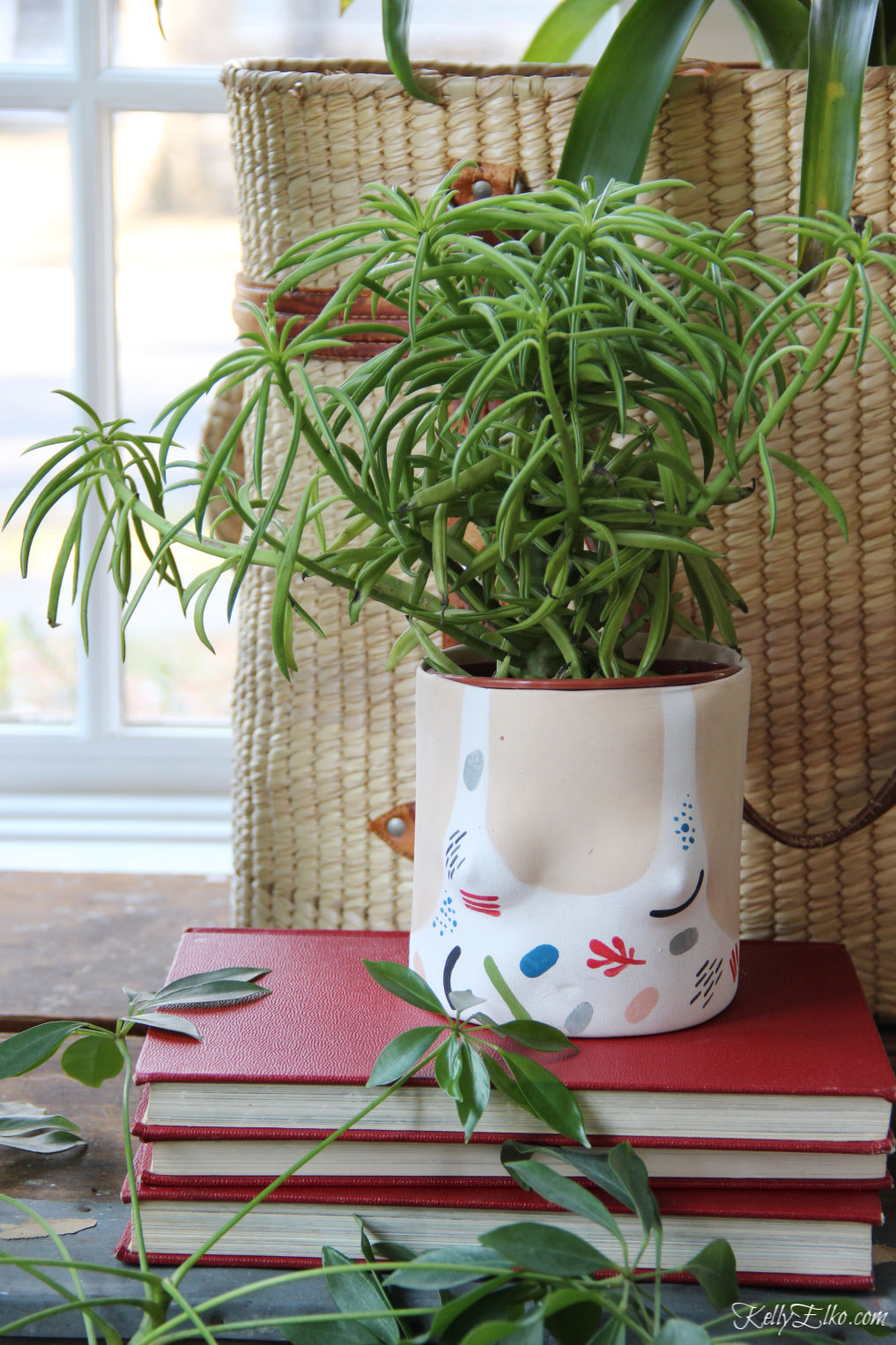 How cute is this little bathing suit planter and the succulent that looks like hair kellyelko.com #plants #houseplants #sunroom #jungalow #jungalowstyle #bohostyle #bohodecor #interiordesign #planters #vintagedecor #plantlady #eclecticdecor #kellyelko #succulent 