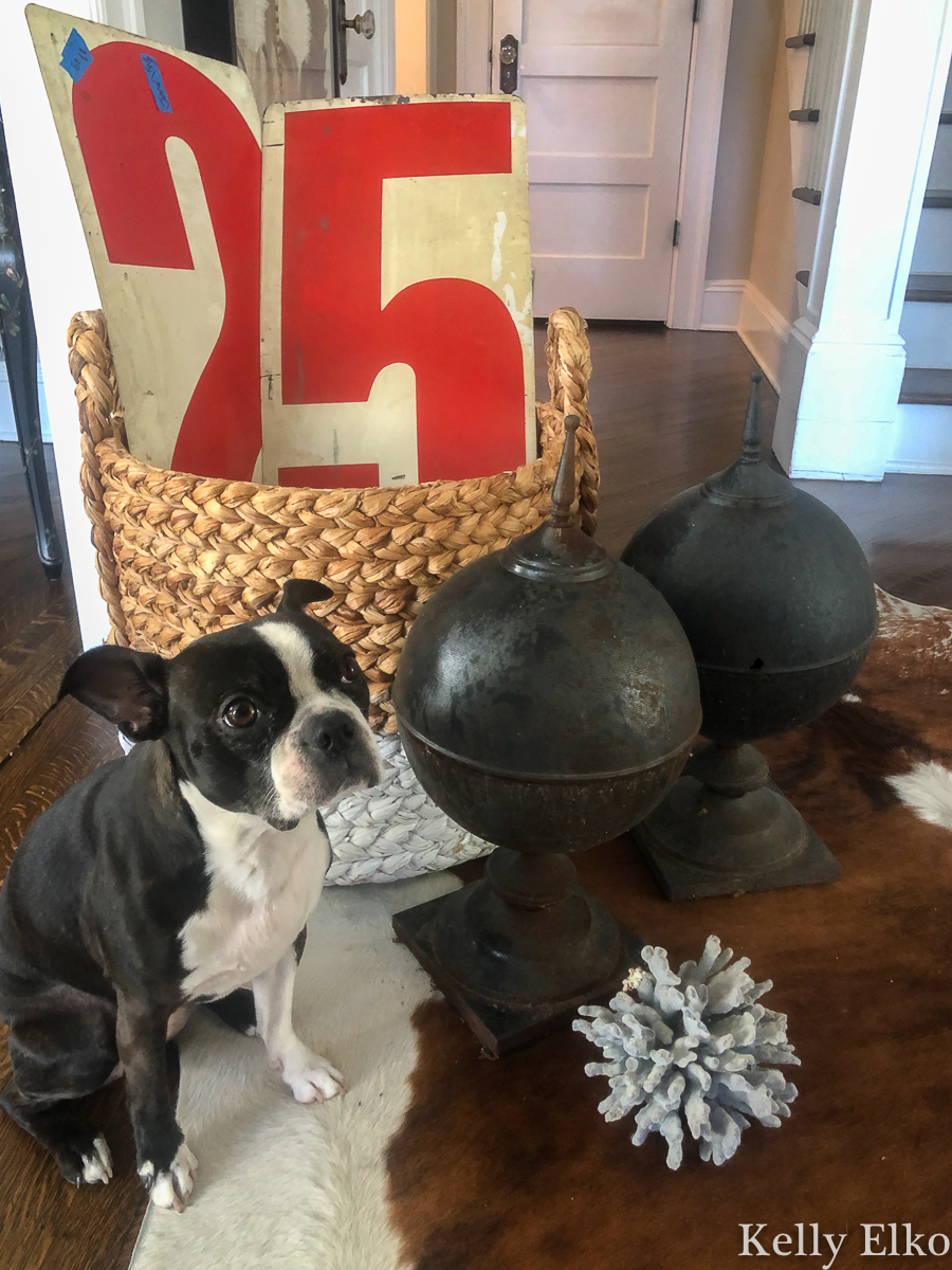 Estate sale finds - love the vintage red numbers, black finials and big chunk of blue coral. She always finds the best stuff kellyelko.com #farmhousedecor #farmhousestyle #farmhousedecor #farmhousestyle #estatesale #thrifting #thrifty #yardsale #garagesale #vintagenumbers #coral #finials #bostonterrier