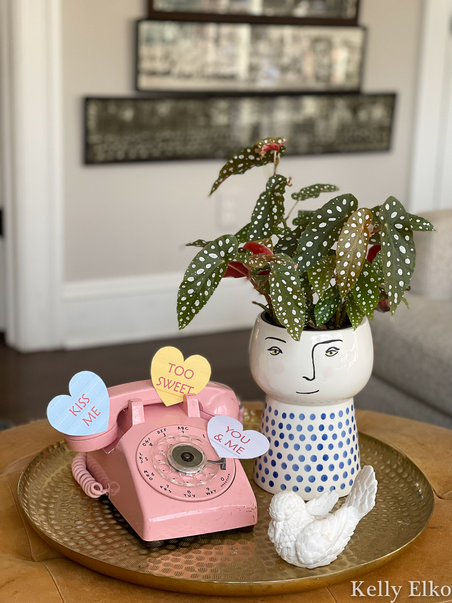 Simple Valentine Ideas - love the vintage pink rotary phone and face planter with spotted begonia kellyelko.com