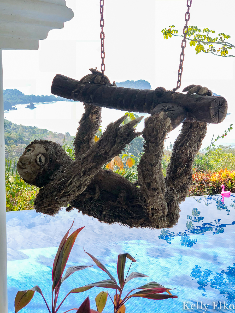 Cute sloth at our Costa Rica villa kellyelko.com #costarica #sloth #vacation #villa 