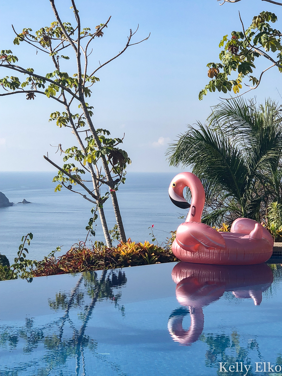 Costa Rica Vacation - this villa near Manual Antonio National Park has an infinity edge pool and tons of monkeys and sloths on the property kellyelko.com #costarica #quepos #manualantonio #vacation #pinkflamingo #pool #infinitypool #poolfloat #beachview 