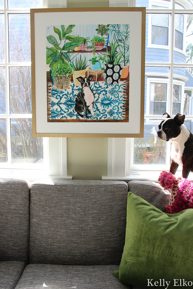 Love this custom colorful pet painting with tips on how to hang art on windows kellyelko.com #petart #dogart #dogpainting #petportrait #plantlady #plants #sunroom #sunroomdecor #bostonterrier