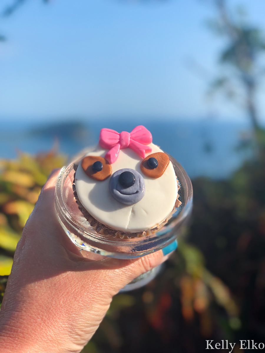 This villa in Costa Rica planned a sloth themed birthday party and it was epic! kellyelko.com #costarica #sloths #birthdayparty #vacation #travel #travelblog #travelblogger #girlstrip #birthdaytrip #cupcake