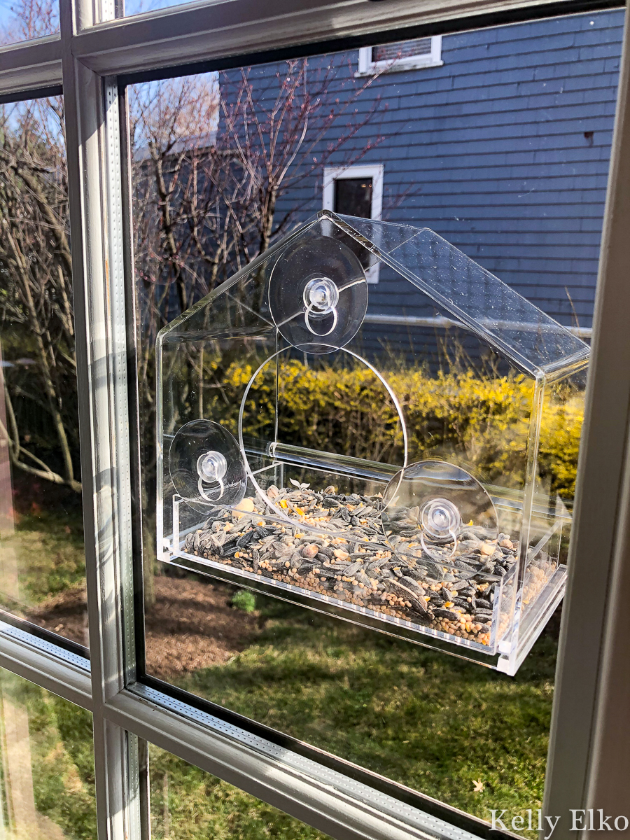 Unique Must Haves for HomeBodies - love this window bird feeder so you can get an up close look at your feathered friends kellyelko.com #birdwatching #birding #birds #giftguide #giftideas #homebodies #birdhouse 