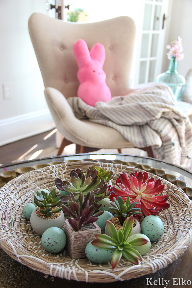 Succulents are a fun way to add color for any season like this spring decor with eggs kellyelko.com #spring #springdecor #peeps #easterdecor #eastereggs #bohodecor #succulents #plantlady #kellyelko