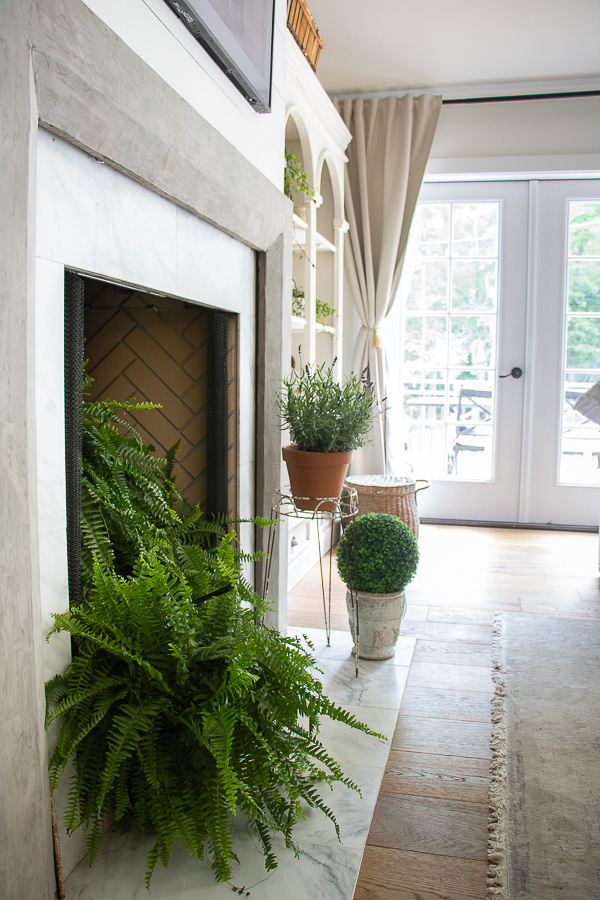 Fill a fireplace with plants during warm weather months #plants #houseplants #plantlady #ferns #farmhouse #mantel #fireplacedecor #farmhousedecor 