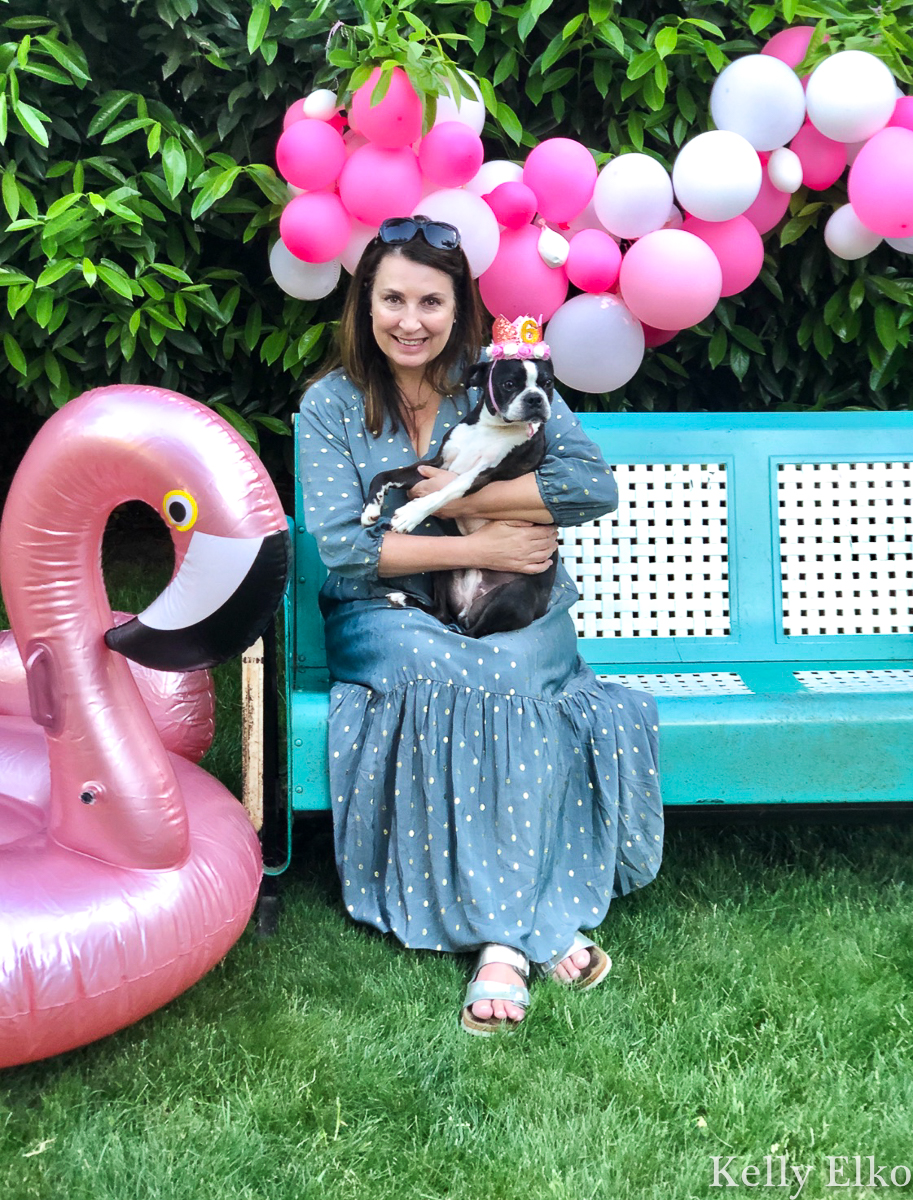 I threw my dog a birthday party! kellyelko.com #birthdayparty #petparty #dogbirthday #dogparty #photoop #pinkflamingo #partyideas #partyphotobooth #vintagedecor 