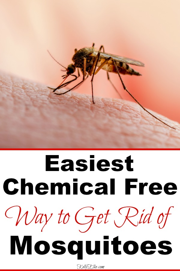 How to Rid Your Yard of Mosquitos - The Surprising Chemical Free