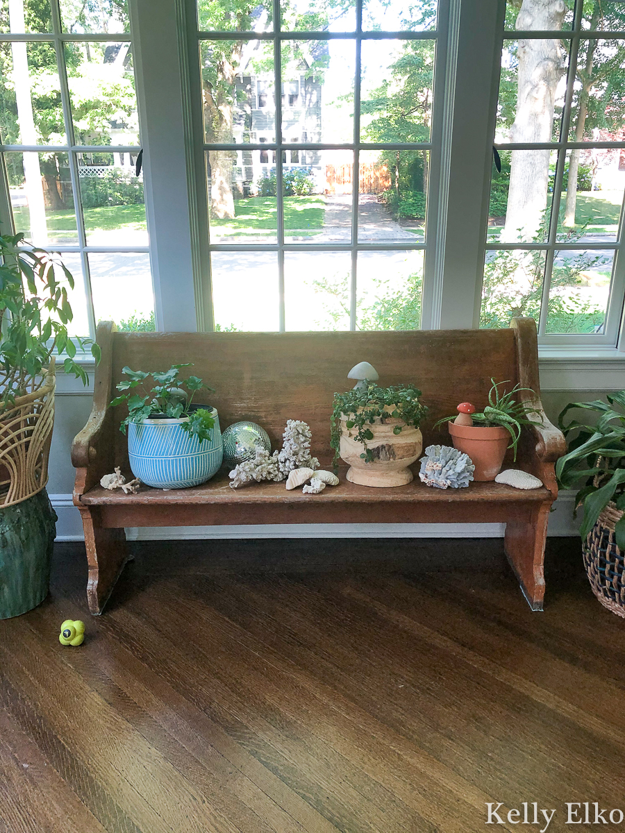 She bought this antique church pew before she realized a swarm of carpenter bees were nesting in it! kellyelko.com #churchpew #vintage #vintagedecor #antique #antiquedecor #farmhouse #farmhousedecor #carpenterbees #bees #sunroomdecor #plants #houseplants #plantlady #gardening #gardens 