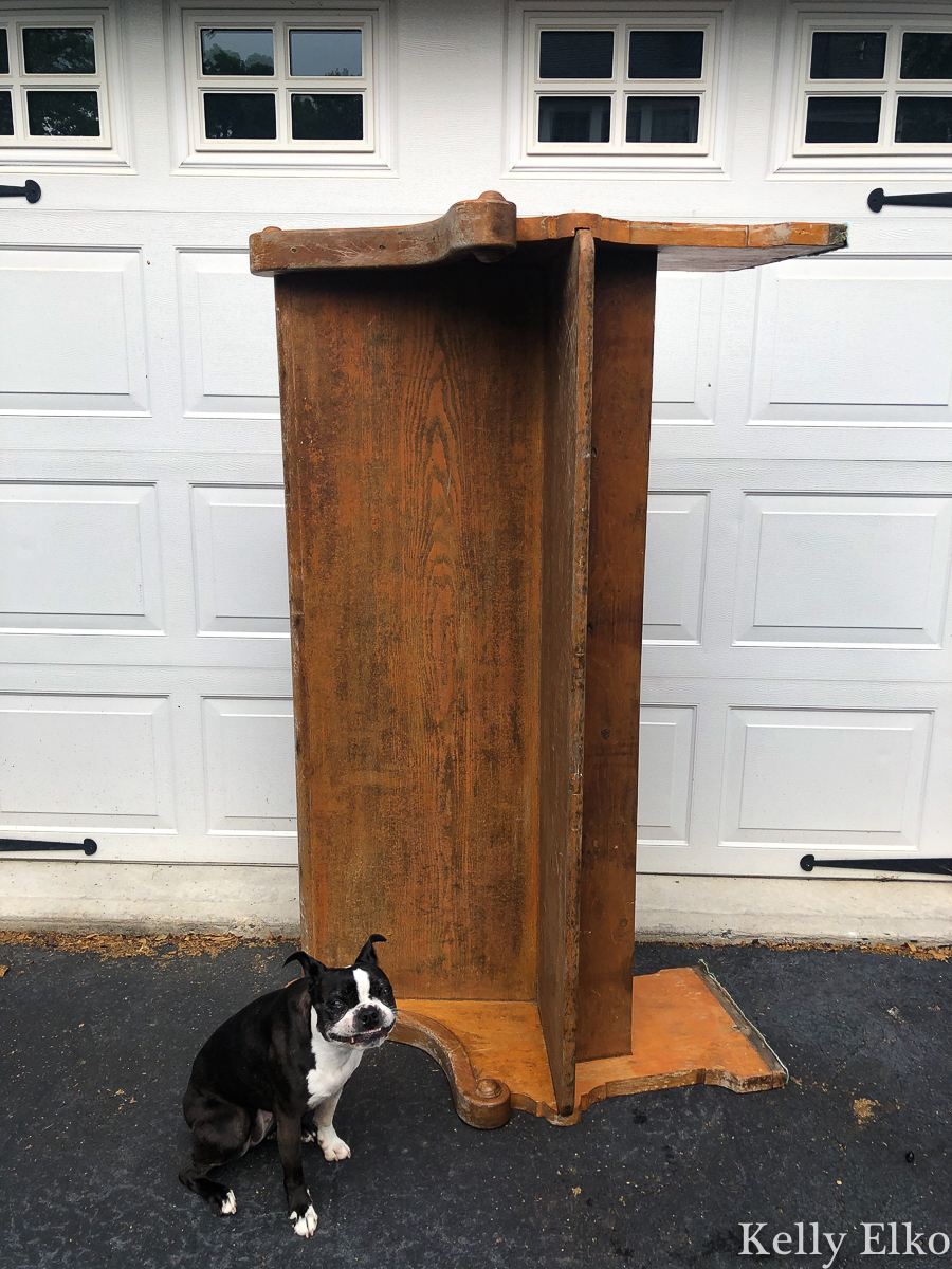 She bought this antique church pew before she realized a swarm of carpenter bees were nesting in it! kellyelko.com #churchpew #vintage #vintagedecor #antique #antiquedecor #farmhouse #farmhousedecor #carpenterbees #bees #sunroomdecor #plants #houseplants #plantlady #gardening #gardens #bostonterrier