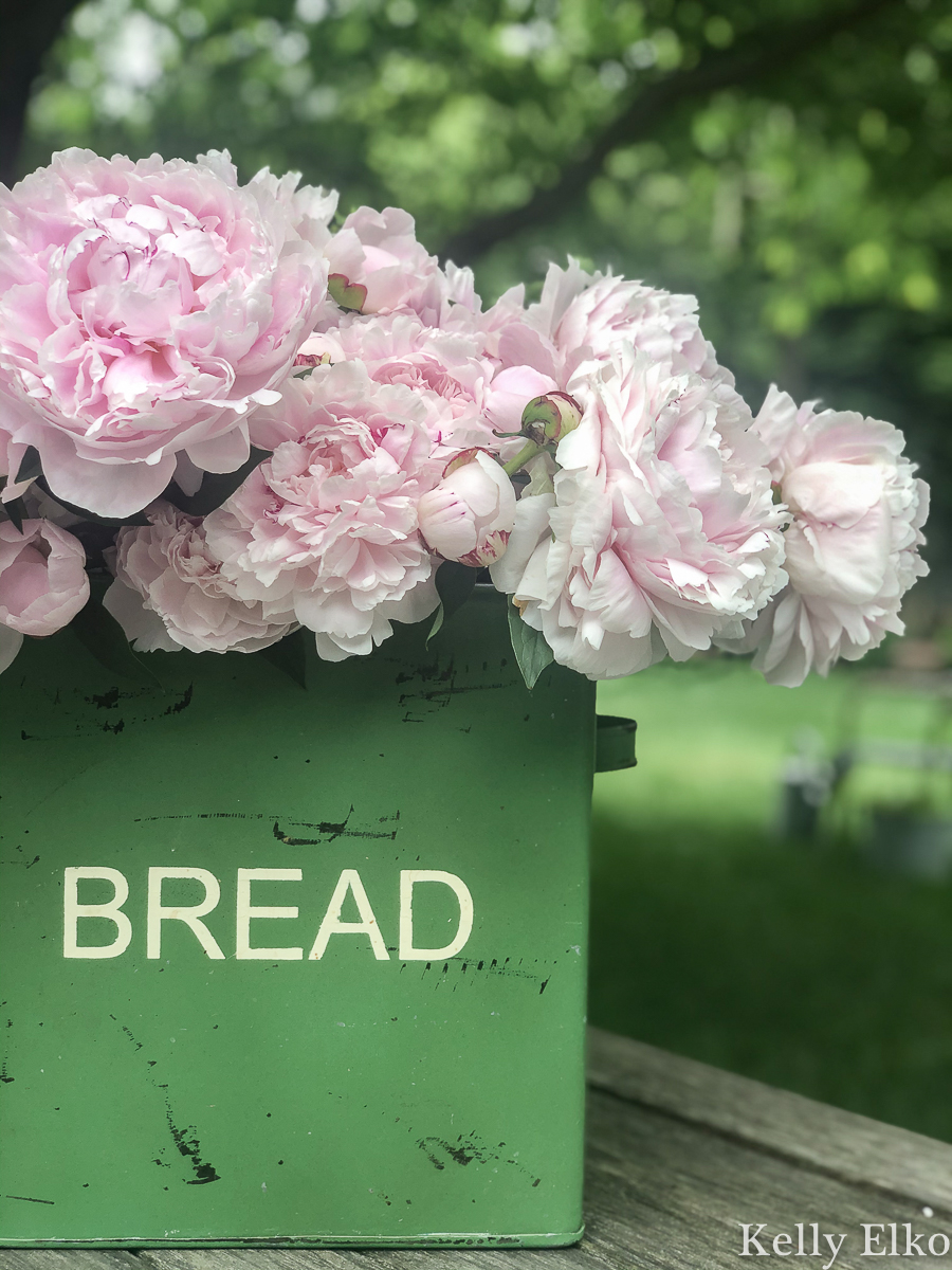 Vintage bread box as a unique vase for pretty pink peonies kellyelko.com #peonies #peony #pinkpeonies #sarahbernhardtpeony #vintagedecor #farmhousedecor #breadbox #vintage #flowers #flowerarranging 