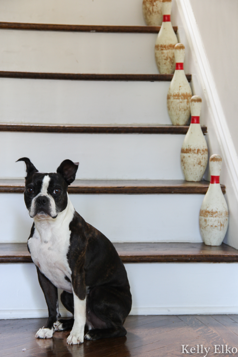 Vintage bowling pins on the staircase kellyelko.com #vintage #vintagedecor #farmhousedecor #farmhousestyle #farmhouse #stairs #staircase #thrifted #bostonterrier