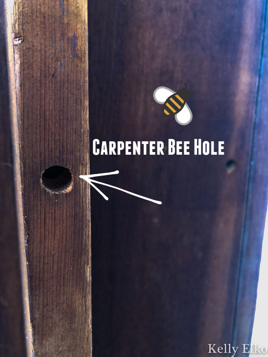 How to Get Rid of Carpenter Bees for Good! kellyelko.com #bees #pestcontrol #carpenterbees #housemaintenance #bees #garden #nature 
