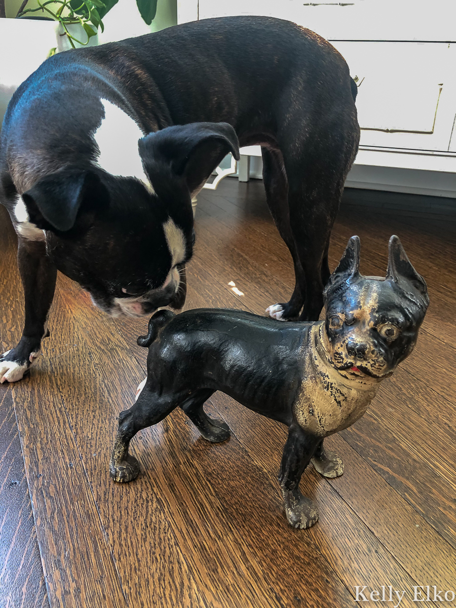 Everything you need to know about antique cast iron doorstops. Love this Boston Terrier doorstop kellyelko.com #doorstop #antique #antiques #collect #collectibles #hubley #bostonterrier #vintage #vintagedecor #antiquedecor 