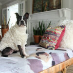 Vintage Lovers Fall Living Room kellyelko.com #vintage #vintagedecor #fall #falldecor #falldecoratingideas #bostonterrier #rattan #eclecticdecor