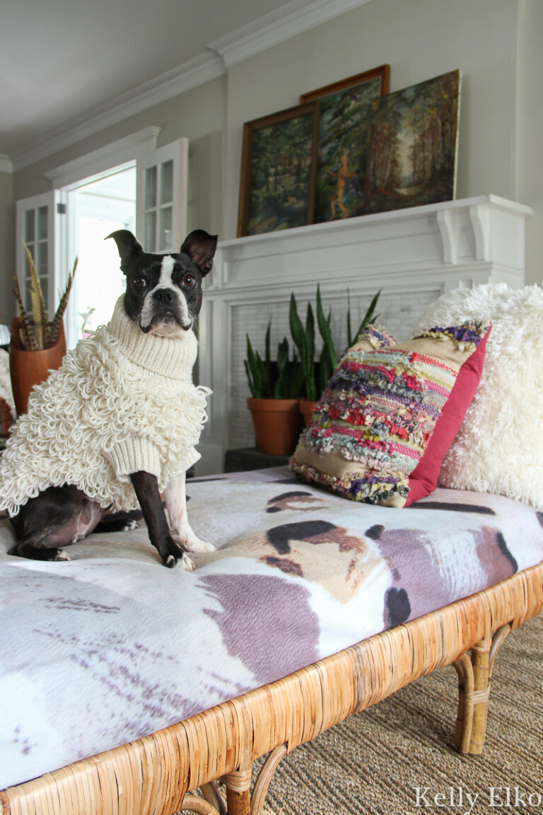 Vintage Lovers Fall Living Room kellyelko.com #vintage #vintagedecor #fall #falldecor #falldecoratingideas #bostonterrier #rattan #eclecticdecor