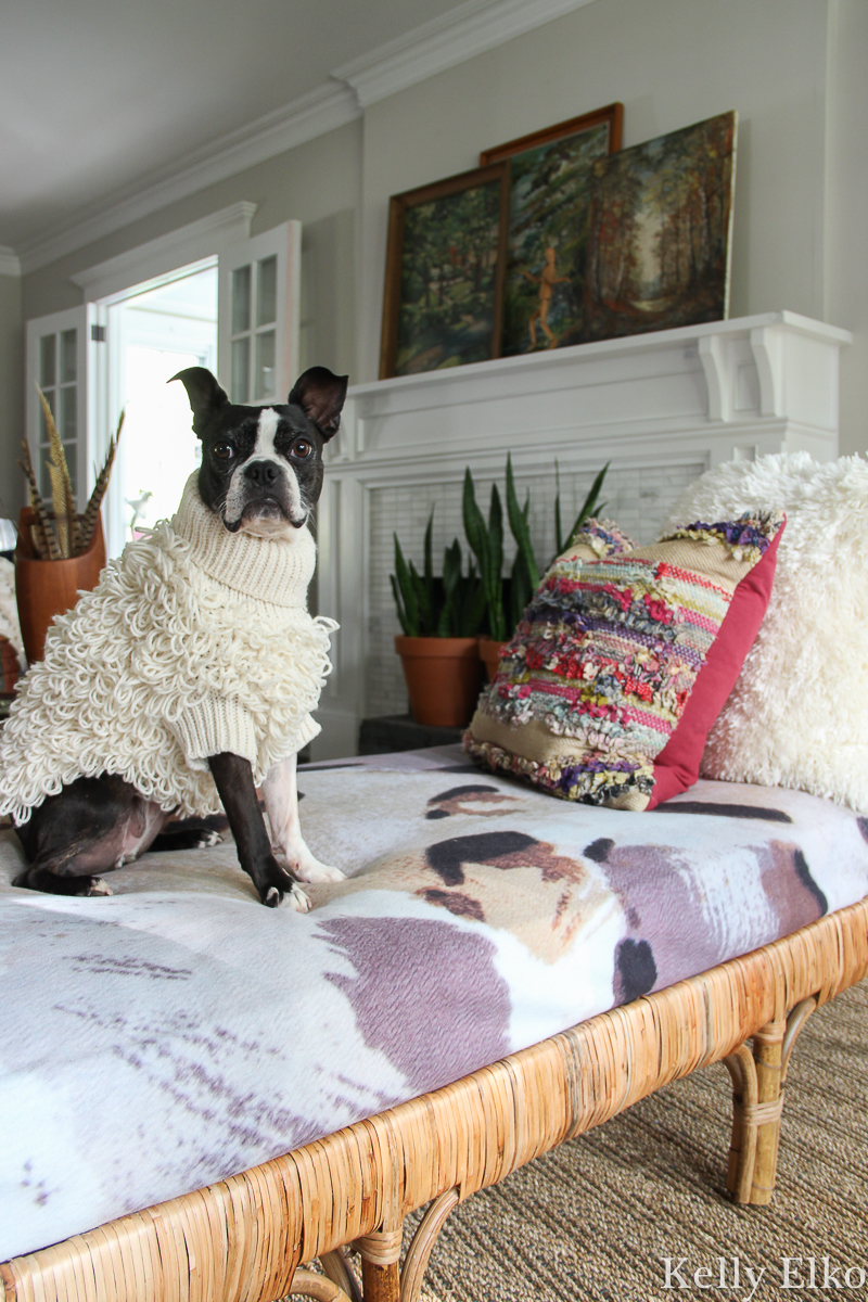 Vintage lovers fall living room filled with so many creative decorating ideas kellyelko.com #fall #fallhome #falldecor #fallhometour #fallivingroom #bostonterrier #eclecticdecor #vintagedecor #vintagefall #vintagepaintings #vintagelandscapes #bohodecor #rattan #bostonterrier 