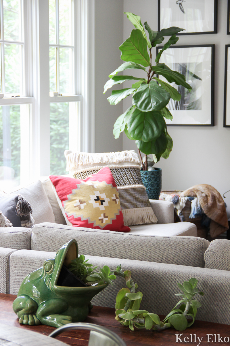 Love this family room filled with unique houseplants like the fiddle leaf fig and the huge succulent in frog planter kellyelko.com #houseplants #plants #plantlady #succulents #fiddleleaffig #decoratingwithplants #eclecticdecor #planters 