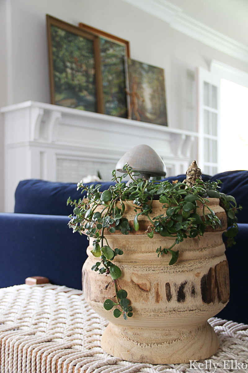 Love this trailing succulent in big wood planter kellyelko.com #plants #houseplants #succulents #falldecor #plantlady 