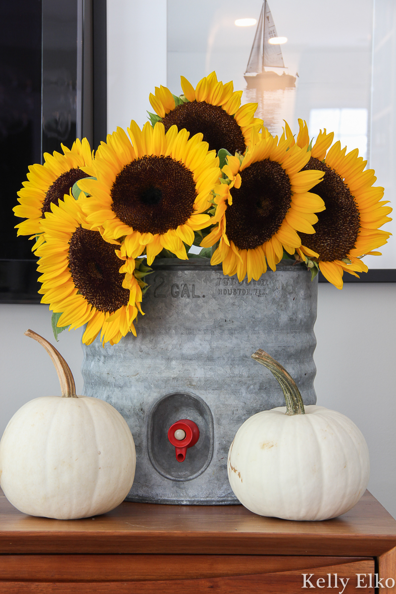 Sunflowers in a vintage galvanized water cooler kellyelko.com #sunflowers #yellowflowers #falldecor #whitepumpkins #pumpkindecor #planters #farmhousedecor #farmhouse